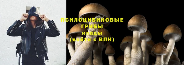 марки lsd Осинники