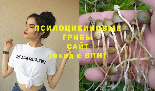 Альфа ПВП Осташков