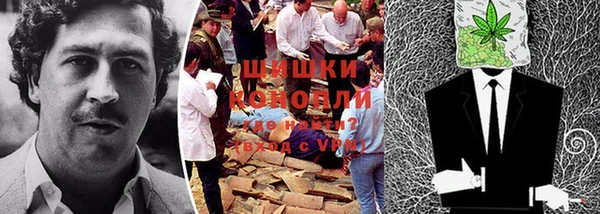 Альфа ПВП Осташков