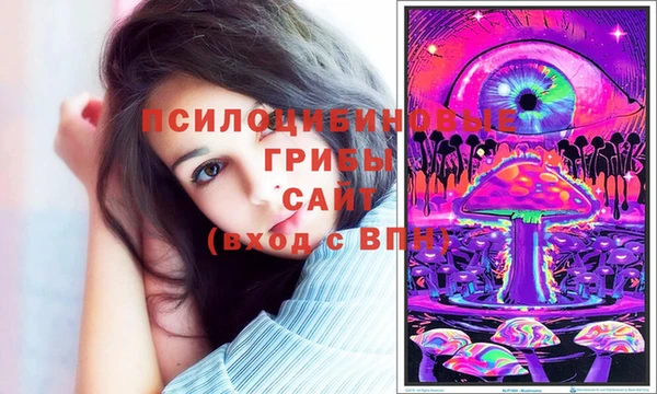 марки lsd Осинники