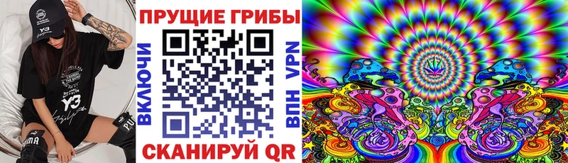 Псилоцибиновые грибы мухоморы  Купить закладки  Ирбит 